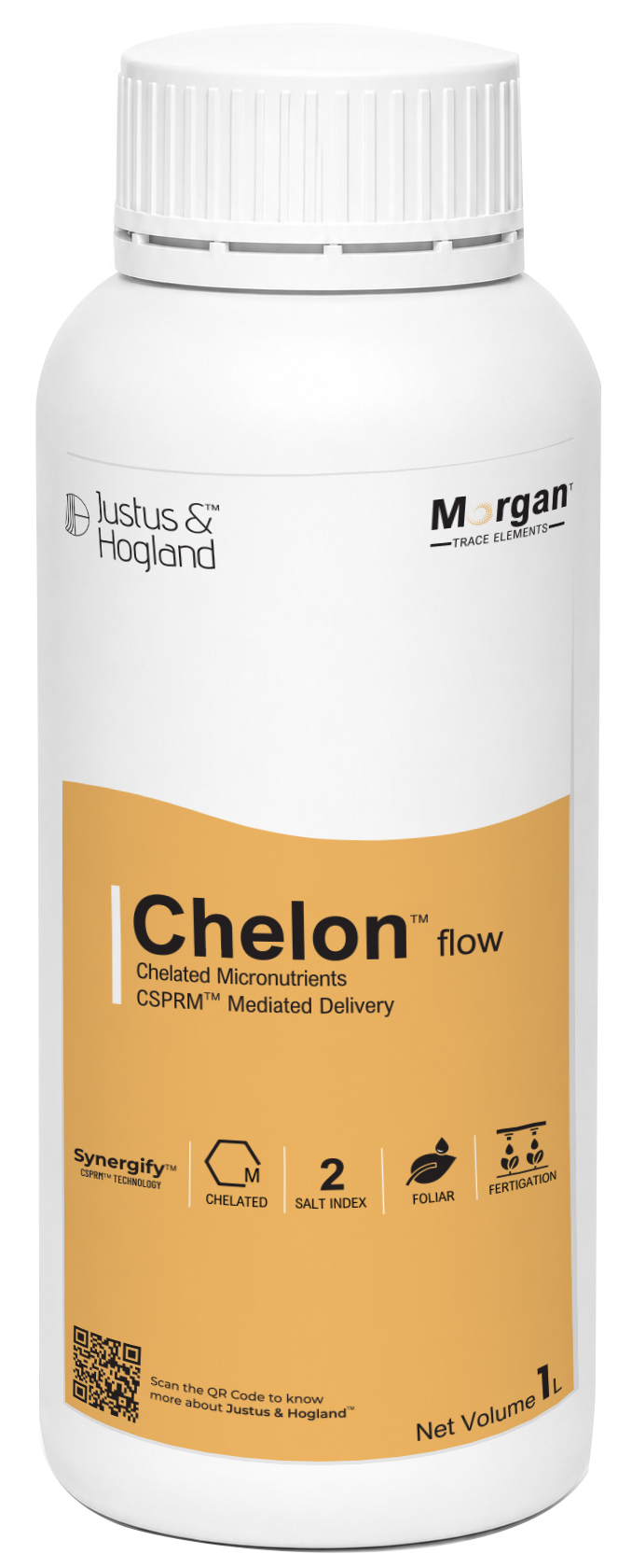 Chelon Flow